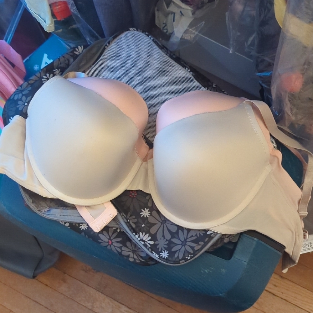 Seamless Cream Bras